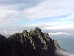 �W�����_����