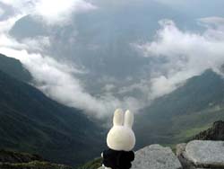 �㍂�n���ʂ������낷