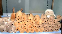 やまねマウンテン