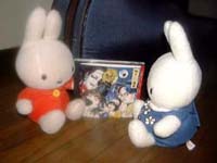 �ǂꂪ�����H