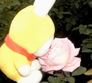 ふがふがミッフィー