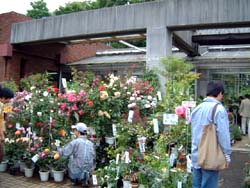 植物園売店