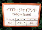 イエロージャイアント看板