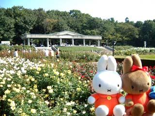神代植物公園、ばら園の秋