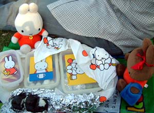 神代植物公園、大芝生でお弁当