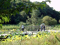 水生植物園