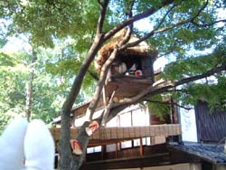 鬼太郎のおうち