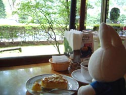 �����z�e������