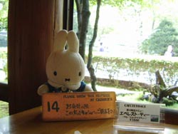 �����z�e���`�[