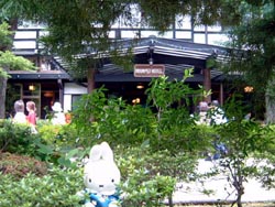 �����z�e������