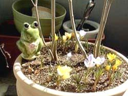 ���낽��E�H�[�^�[�L�[�p�[�i�f�Ă��j