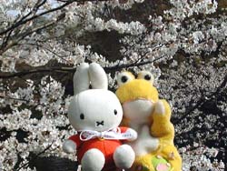 �~�b�t�B�[������