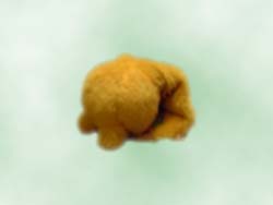 地中深く眠るけろたん