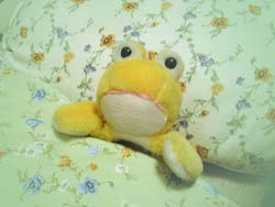 けろたんの目覚め