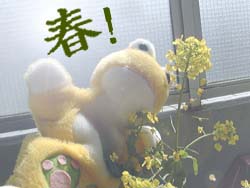 春!