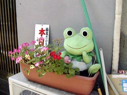 �Ŕ����낽��