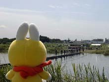 �l���n�͒�