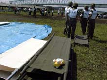 �~�b�t�B�[�S�˂ɂ˂Ă݂�