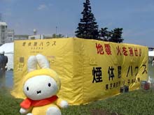 �~�b�t�B�[���̌�