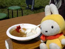 ���q���J���[