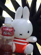 きいちごジュース