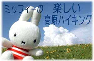 �~�b�t�B�[�� �y���������n�C�L���O