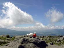 �ԎR�R���ɂ�