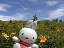 �����ɂ�