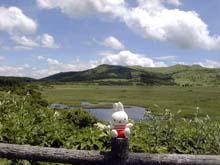 ���������ɂ�