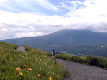 �e����������