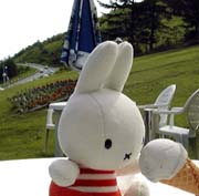 �u���[�x���[�A�C�X