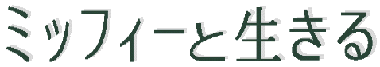 ミッフィーと生きる