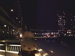 レインボーブリッジより