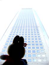 オペラシティを見上げる