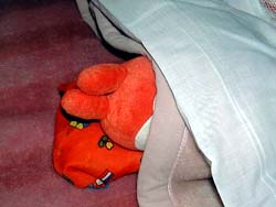 ���₿���