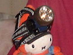 �����v����