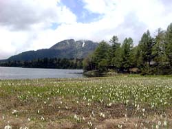 尾瀬沼と燧ヶ岳