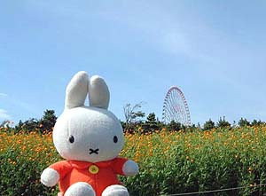 �����ՊC�����E�ϗ��Ԃ��o���Ă���