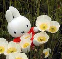 ラブリーミッフィー