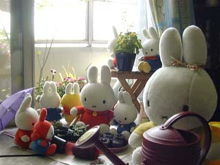 ミッフィーの楽しい園芸作業