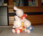 �R�n�̊���