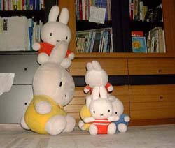 ���G�o��