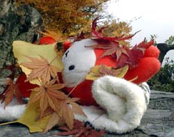 枯れ葉に埋もれて