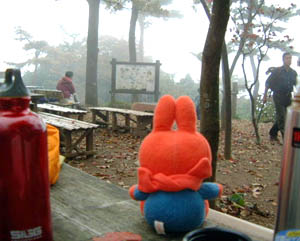 ��R�R���ɂ�