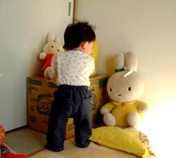 ミフィ太一歳2ヶ月