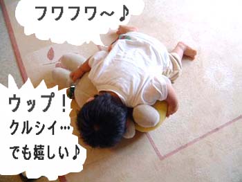 �ł��ƃ~�t�B���Y