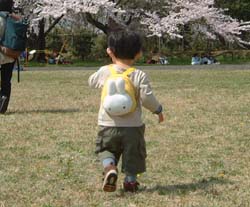 ミフィ太2歳4ヶ月