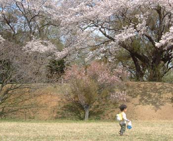 ミフィ太2歳4ヶ月