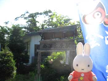 ��Í����������w�ɓ���