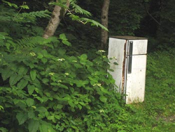 �①�ɔ���